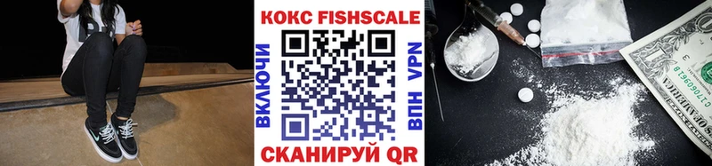 MEGA как войти  Буинск  Cocaine Fish Scale  купить наркотики цена 