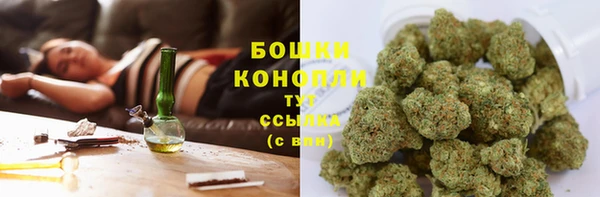 apvp Белокуриха