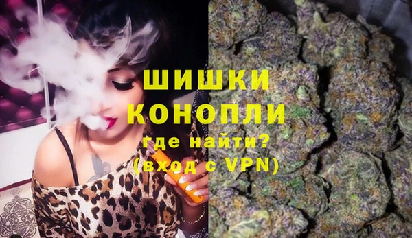 apvp Белокуриха