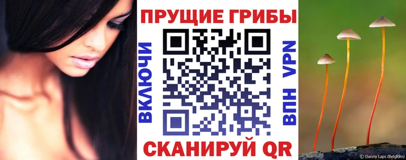 сайты даркнета какой сайт  Буинск  Псилоцибиновые грибы мицелий  где купить наркотик 