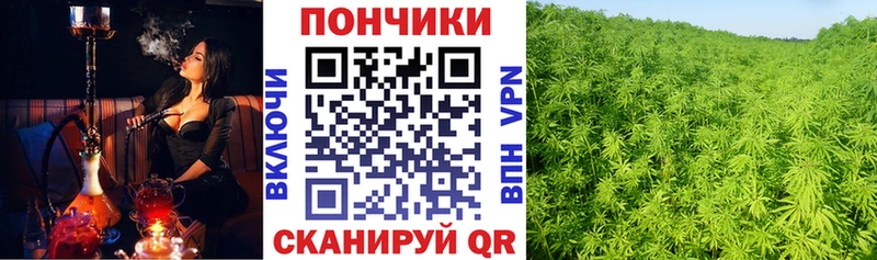 Марихуана тримм  блэк спрут   Буинск 